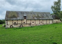 chateau-taillis (8)